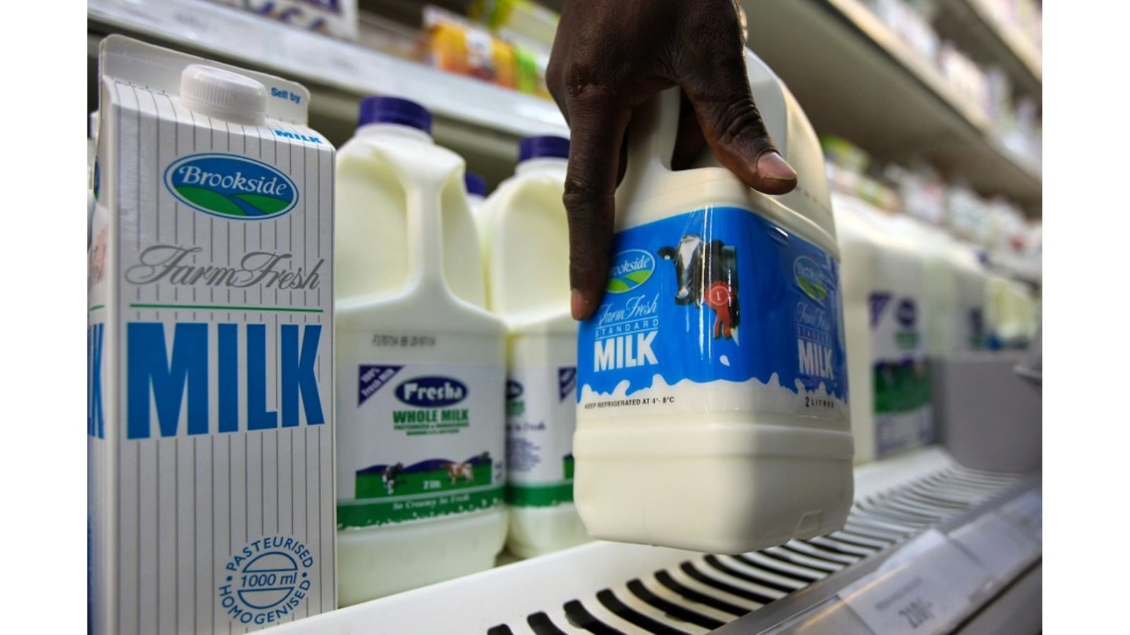 Banned in Kenya, Brookside Dairy Finds Lifeline in Algeria as Export Window Opens