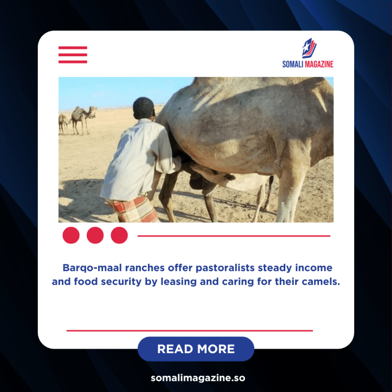 New Milk Cooperative Brings Hope to Drought-Stricken Somali Herders