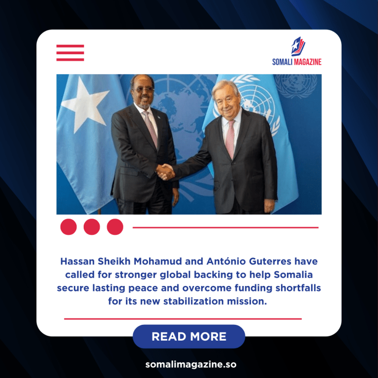 Somali President Meets UN Chief to Rally Support for Peace and Security