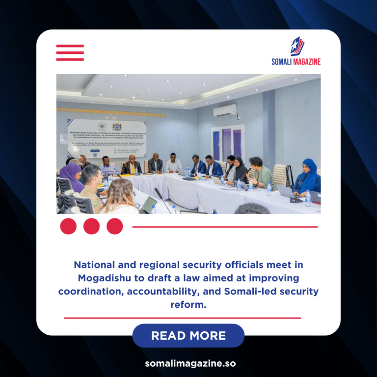 Somalia Moves to Strengthen Security Governance with New State Security Committees