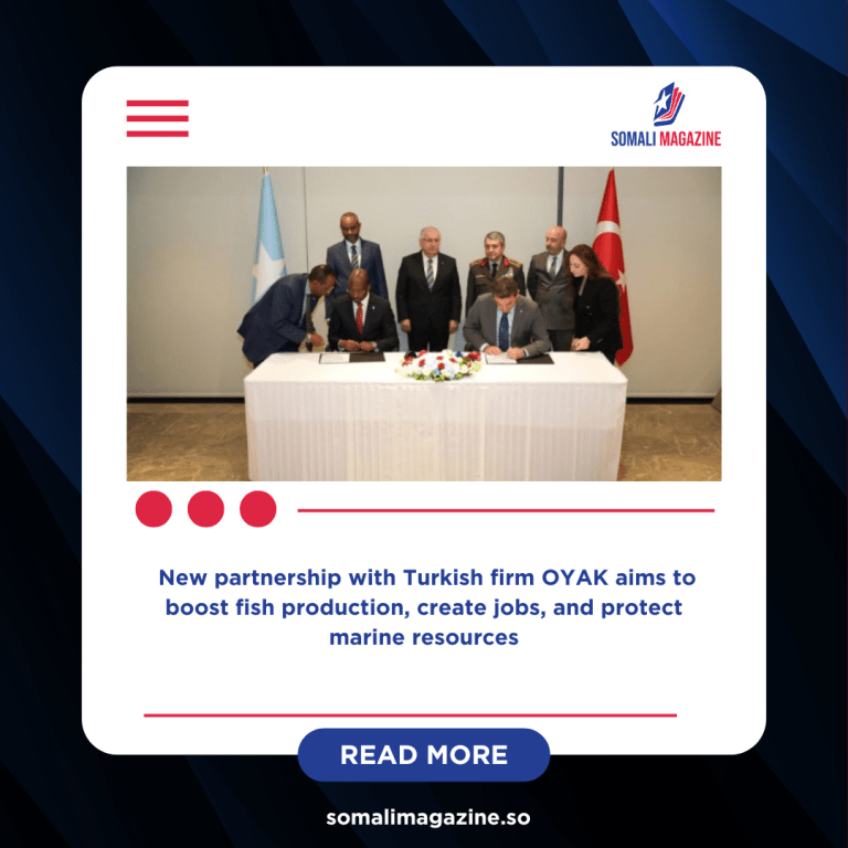 Somalia, Turkey Seal Major Deal to Develop Fisheries and Blue Economy