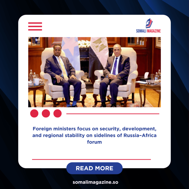 Somalia, Egypt Pledge Deeper Cooperation During Cairo Talks