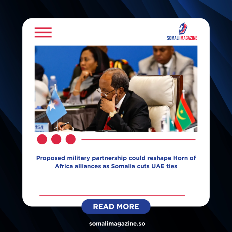 Saudi Arabia, Somalia and Egypt in Advanced Talks on Red Sea Security Pact