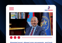 Saudi-Led Coalition Says STC Leader Zubaidi Fled as Tensions Rise in Southern Yemen