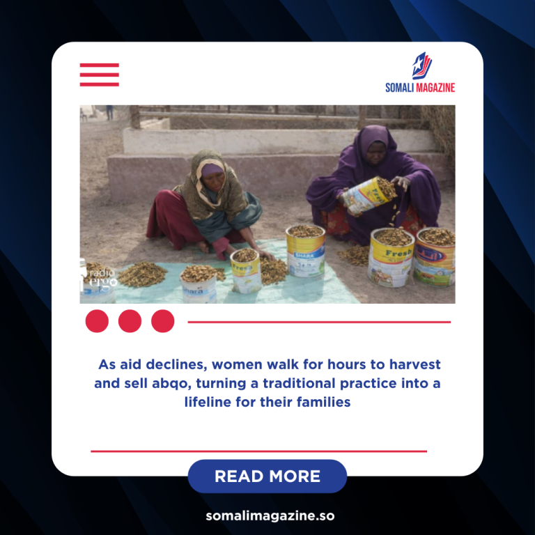 From Survival to Strength: How Displaced Women in Kismayo Are Earning a Living Through Acacia Seeds