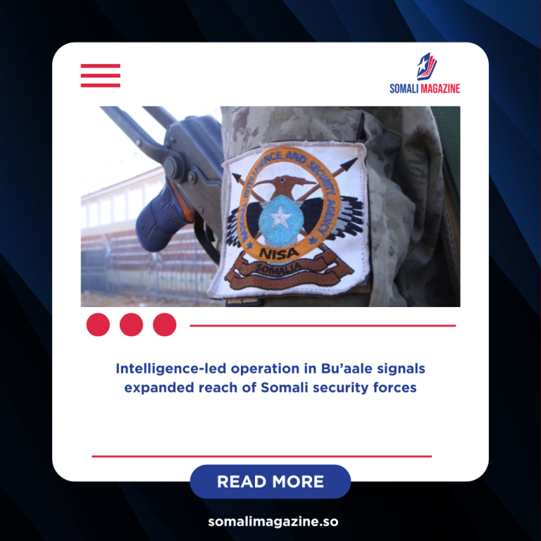 NISA Targets Senior al-Shabab Leaders in Middle Juba Airstrike