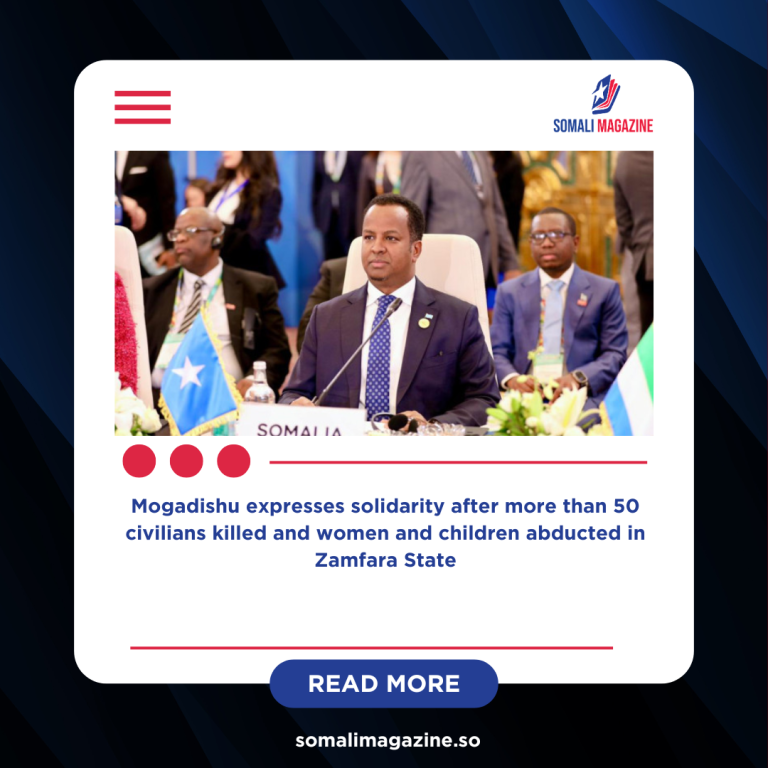 Somalia Condemns Deadly Terror Attacks in Nigeria, Calls for Unity Against Extremism