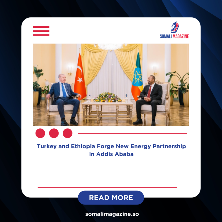 Turkey and Ethiopia Forge New Energy Partnership in Addis Ababa