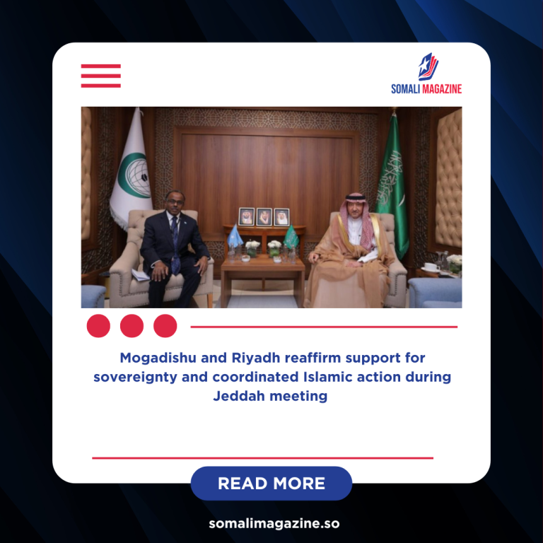 Somalia–Saudi Arabia Talks Focus on OIC Unity and Palestinian Crisis