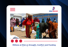 WFP Warns Food Aid in Somalia Could Stop by April Without Urgent Funding