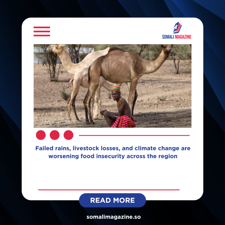 Drought Pushes Millions Toward Hunger in Kenya and the Horn of Africa