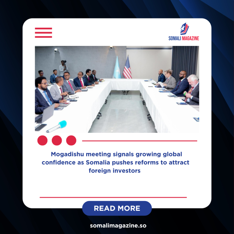 Somalia and U.S. Hold Landmark Talks to Boost Energy and Mineral Investment