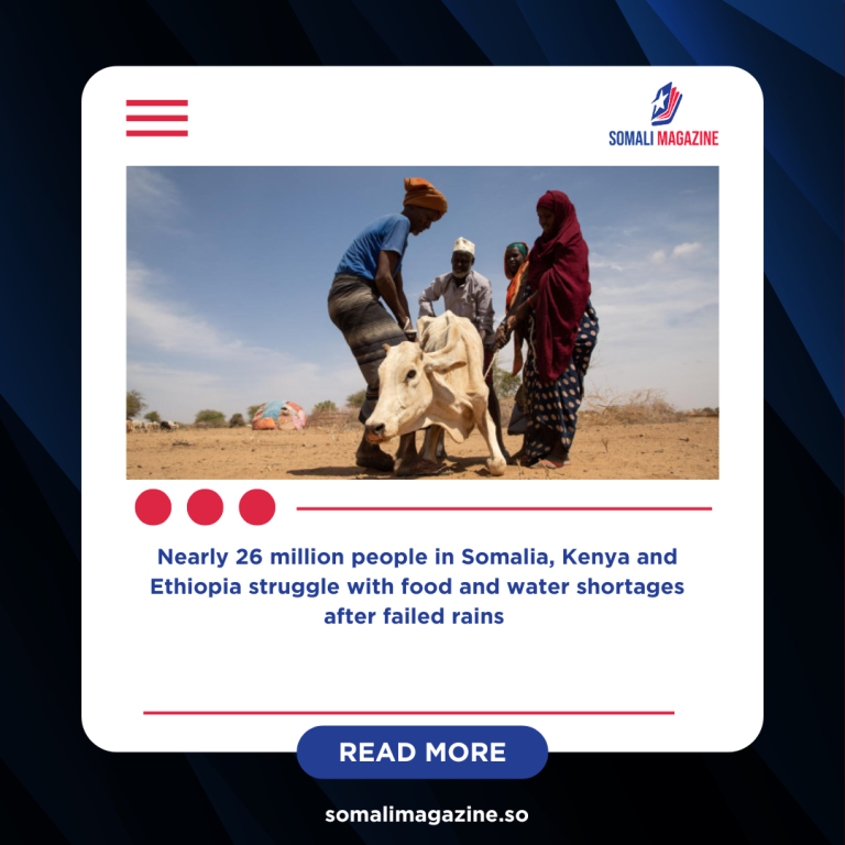 East Africa Faces Deepening Hunger Crisis as Drought Tightens Grip