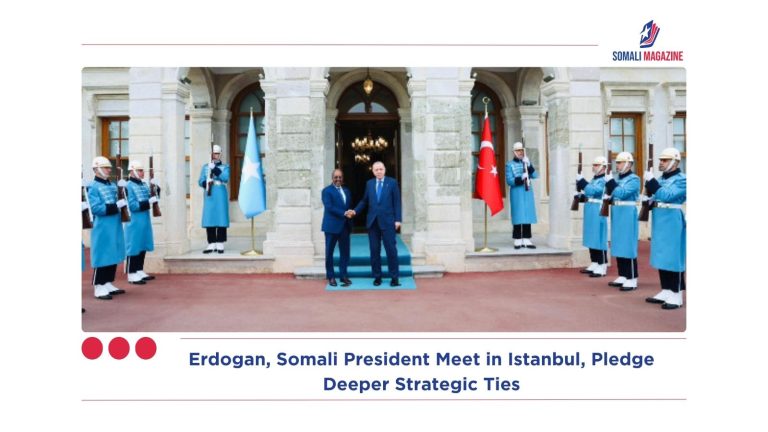Erdogan, Somali President Meet in Istanbul, Pledge Deeper Strategic Ties