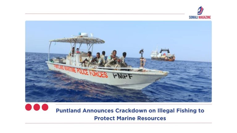 Puntland Announces Crackdown on Illegal Fishing to Protect Marine Resources