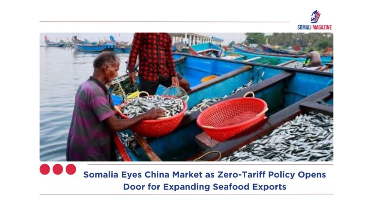 Somalia Eyes China Market as Zero-Tariff Policy Opens Door for Expanding Seafood Exports
