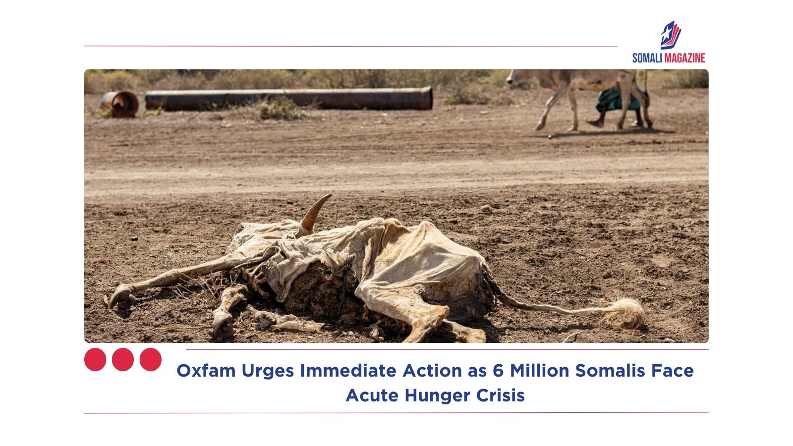 Oxfam Urges Immediate Action as 6 Million Somalis Face Acute Hunger Crisis