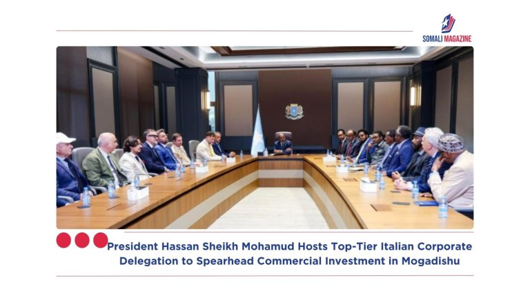 President Hassan Sheikh Mohamud Hosts Top-Tier Italian Corporate Delegation to Spearhead Commercial Investment in Mogadishu