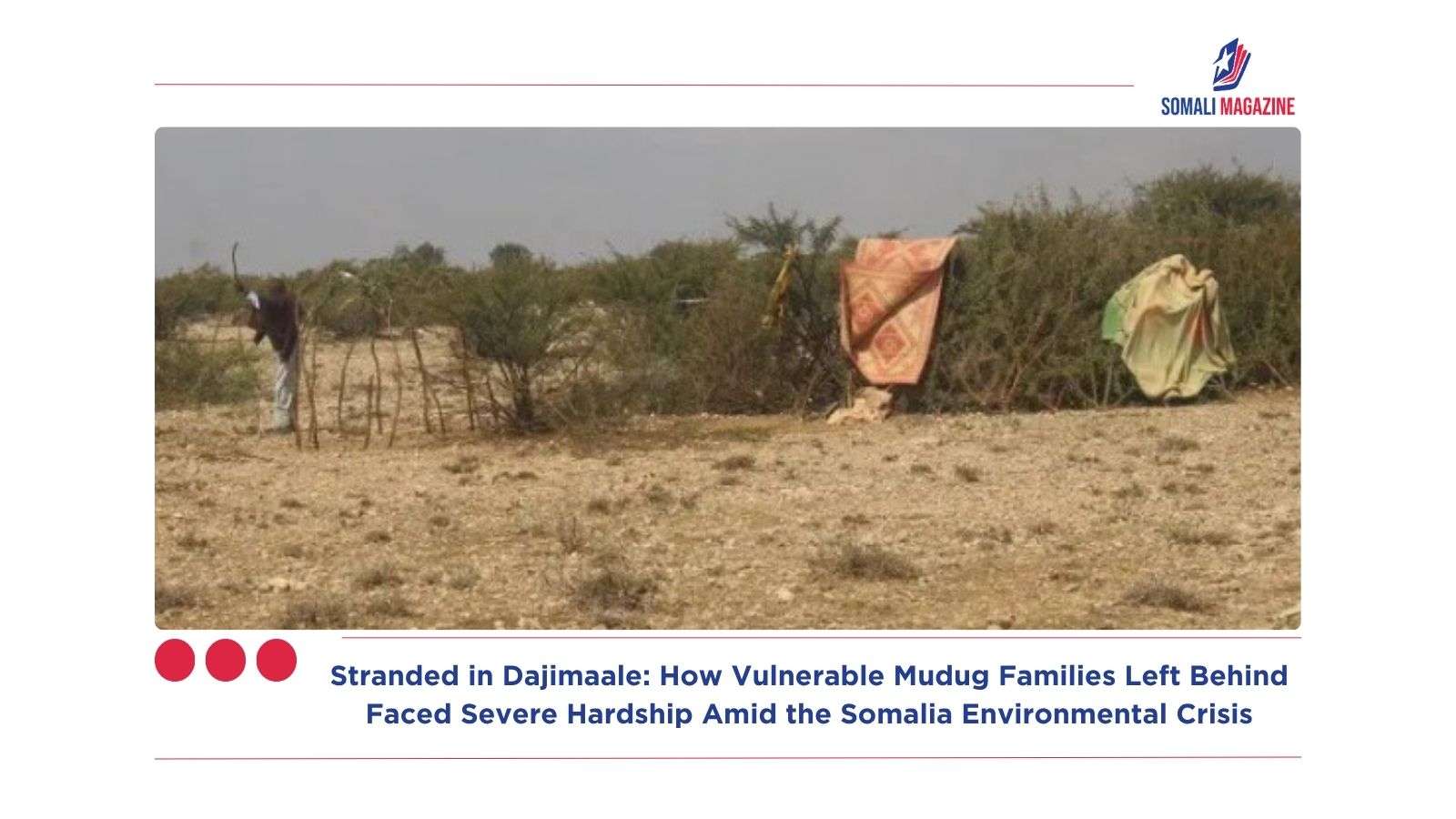 Stranded in Dajimaale: How Vulnerable Mudug Families Left Behind Faced Severe Hardship Amid the Somalia Environmental Crisis