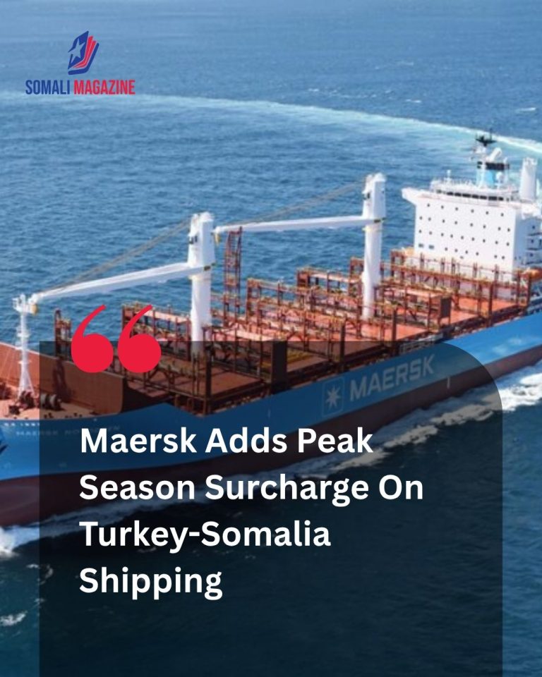Global Shipping Adjustments: Freight Rates Set to Climb Along Essential Mediterranean to Horn of Africa Trade Route