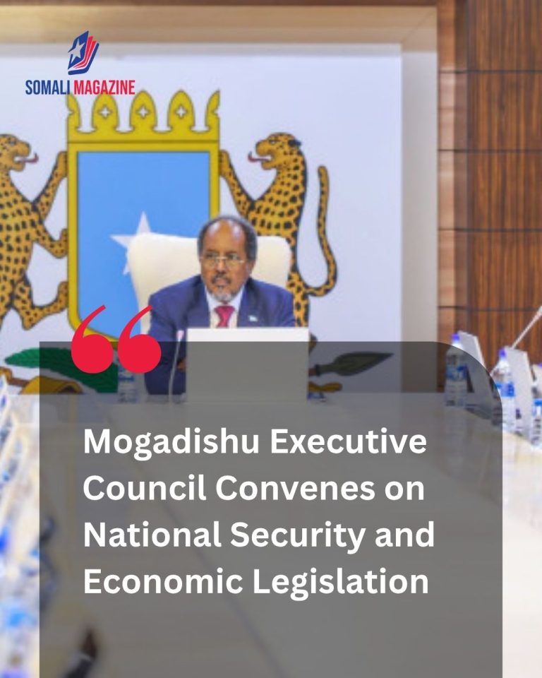 Strategic Reforms in Mogadishu: Somali Cabinet Reviews Security, Approves Business Reform Bill and Turkey Religious Cooperation Pact