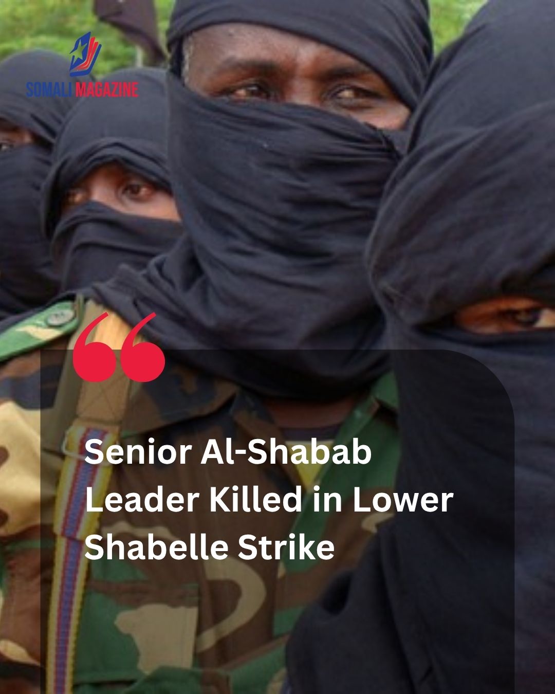 Counterterrorism Strike: Somali Army Neutralizes High-Ranking al-Shabab Shura Council Leader in Lower Shabelle
