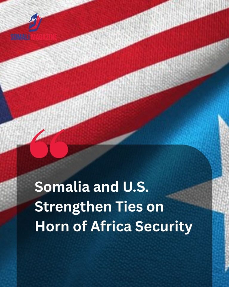 Diplomatic Engagement: Somalia and U.S. Discuss Horn of Africa Stability and Expanded Bilateral Cooperation