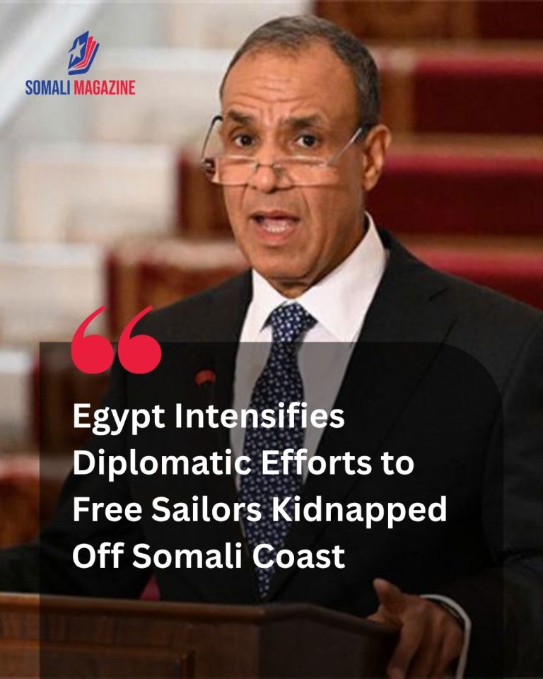 Diplomatic Coordination: Egypt Exerts Tremendous Efforts to Release Sailors Kidnapped Off Somalia