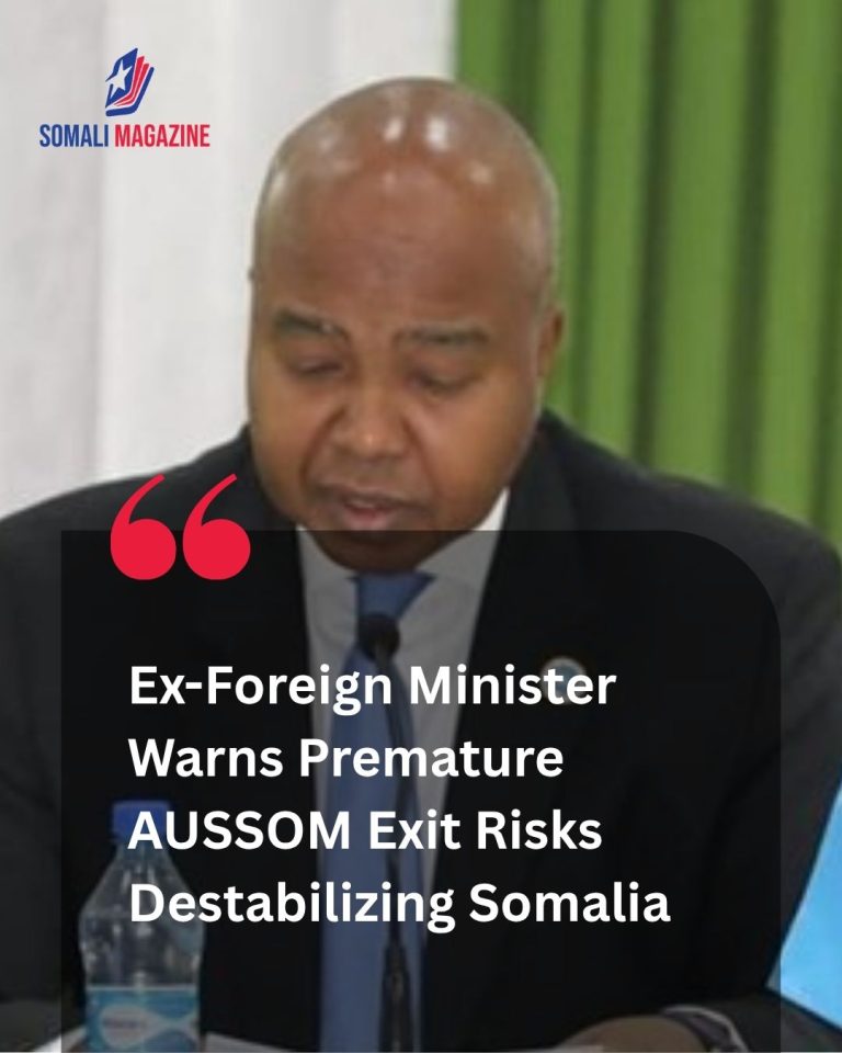 Horn of Africa Security Warning: Former Somali Foreign Minister Warns AUSSOM Withdrawal Could Destabilize Somalia