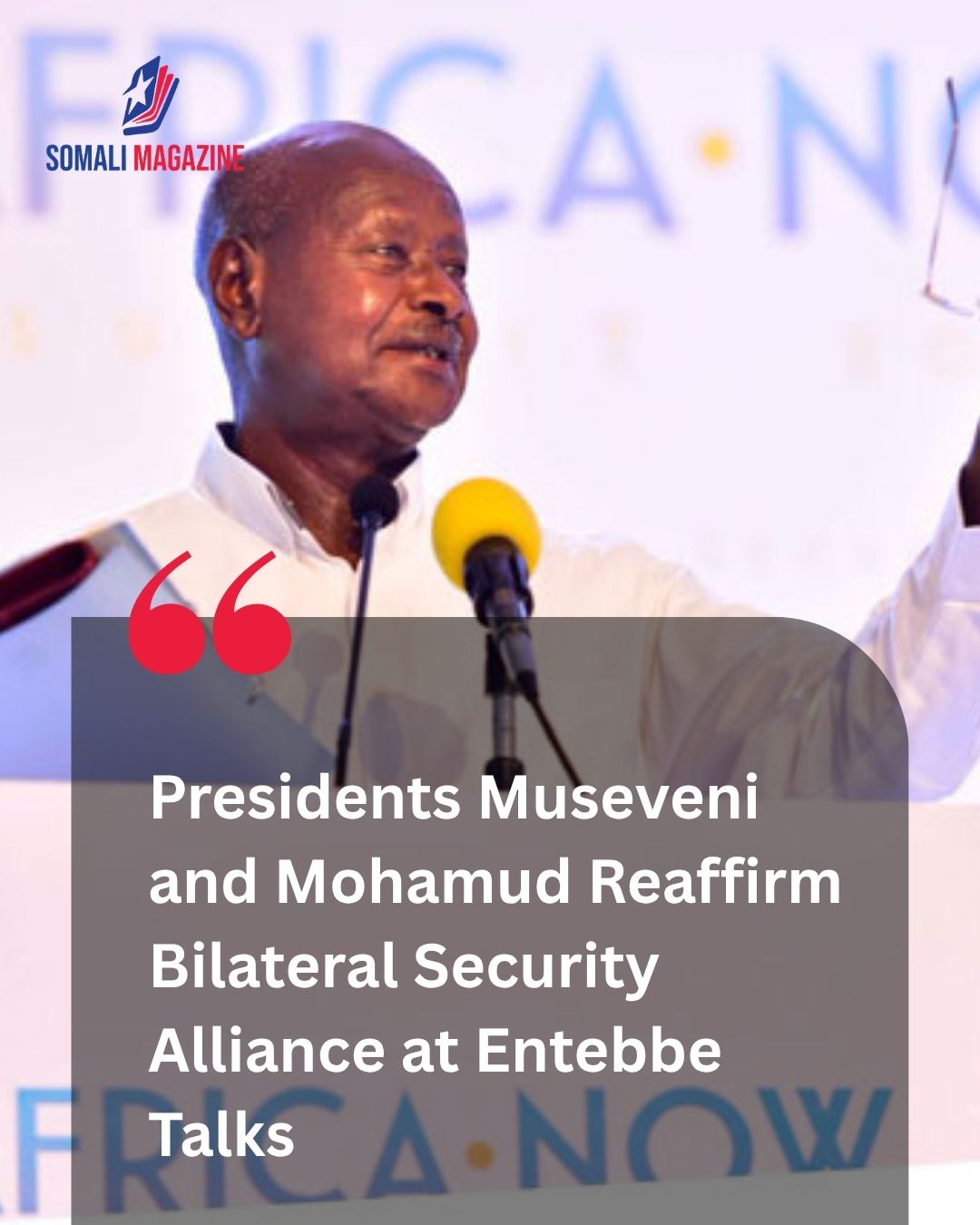 President Yoweri Museveni Assured Somali President Hassan Sheikh Mohamud That Uganda Would Continue to Support Somalia