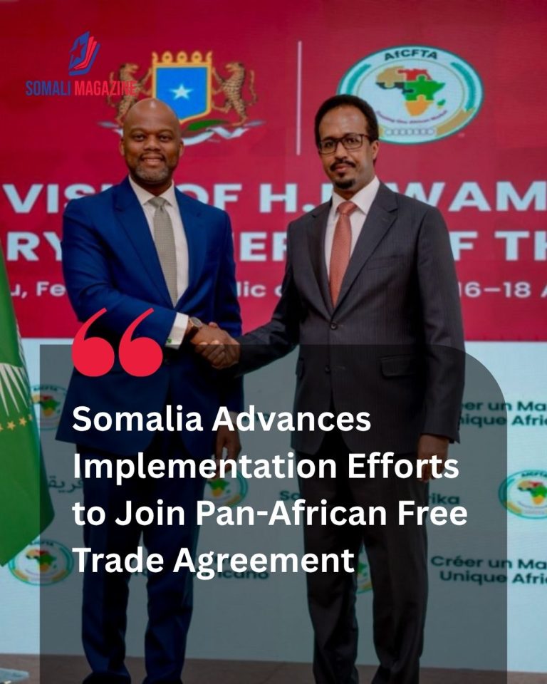 Economic Expansion: Somalia Begins Preparations to Join Africa’s Continental Free Trade Market