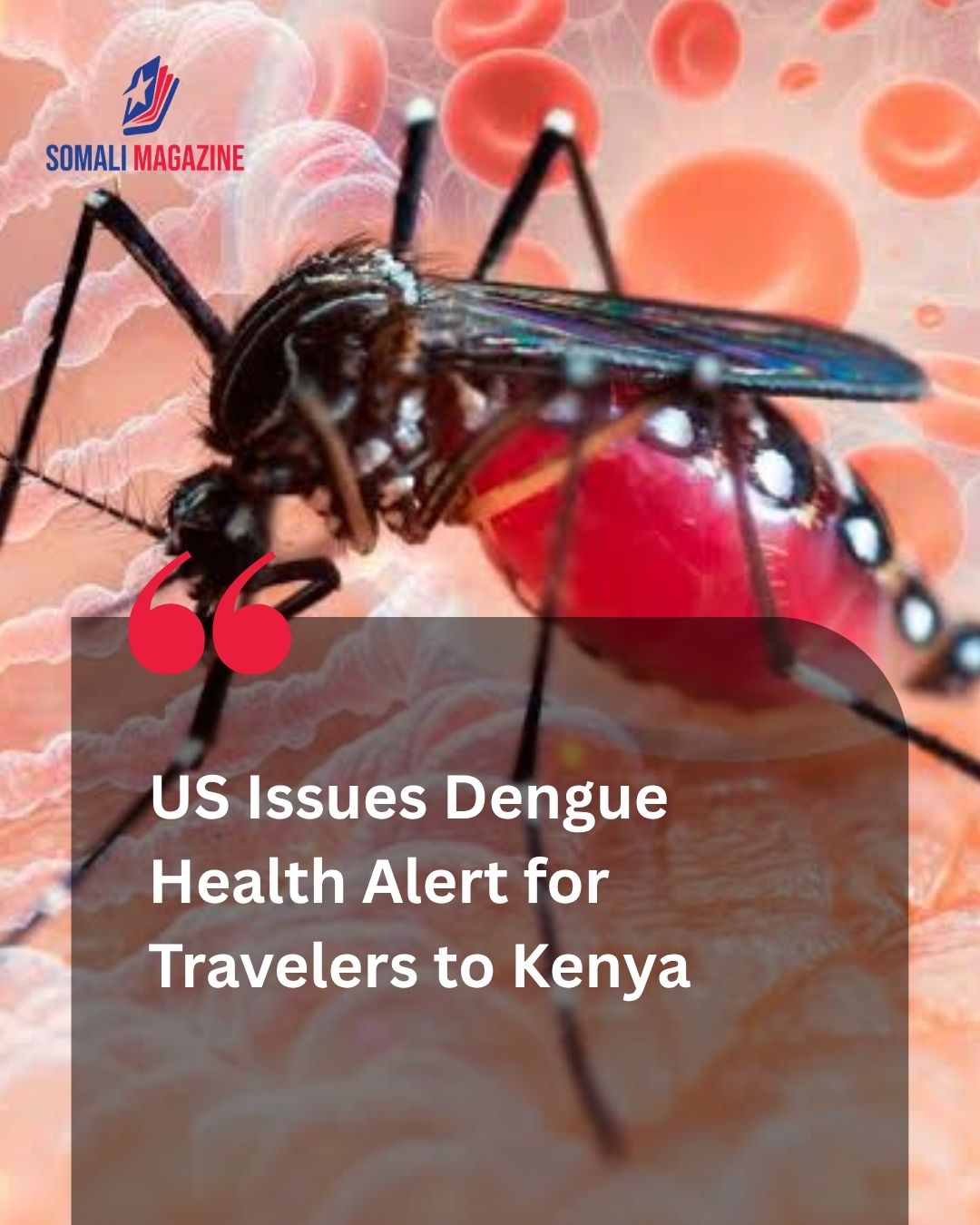 Health Advisory Issued as US CDC Warns Travelers of Rising Dengue Virus Cases Across Kenya