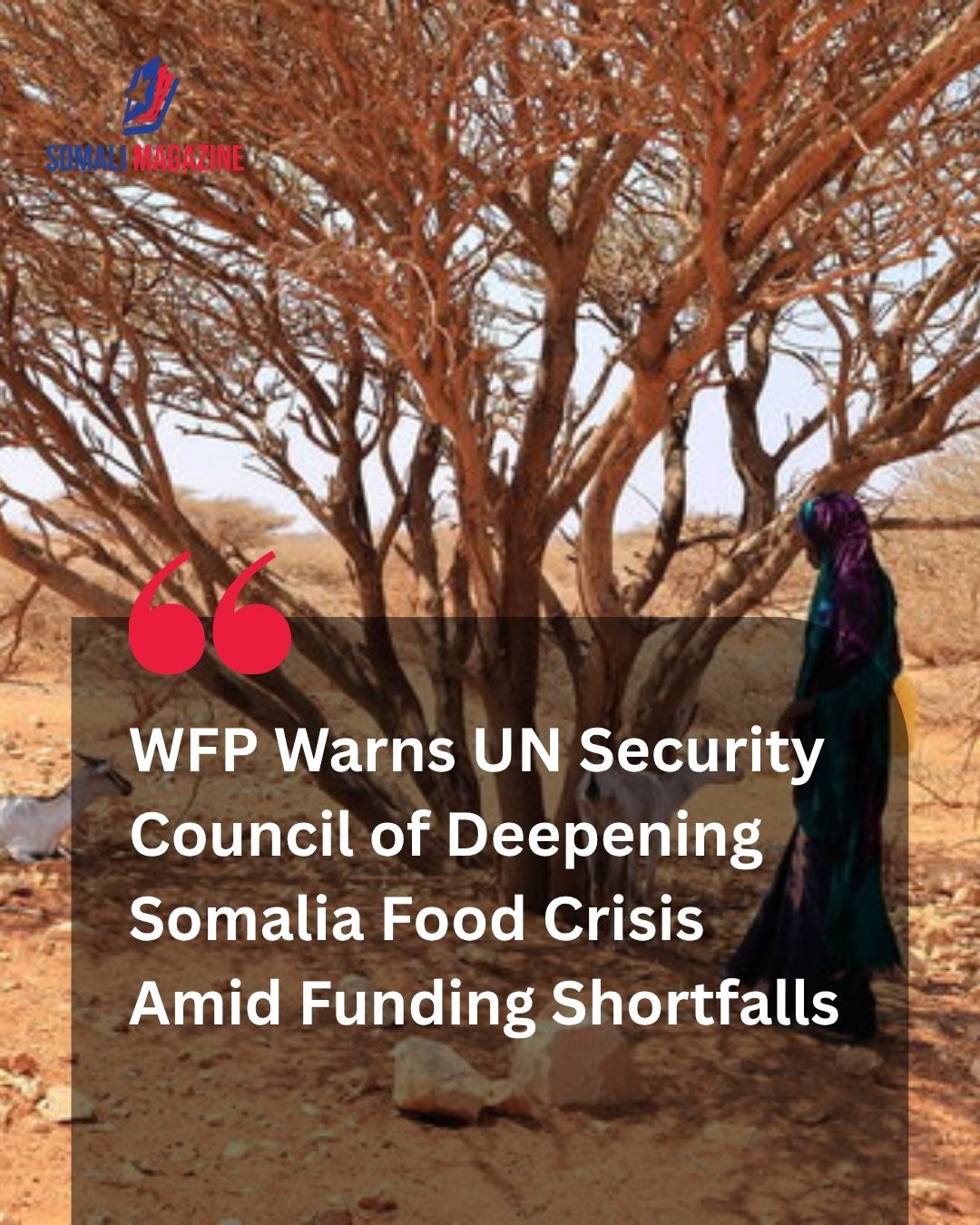 Escalating Crisis: World Food Programme Warns United Nations Security Council as Somalia Faces Severe Hunger Emergency