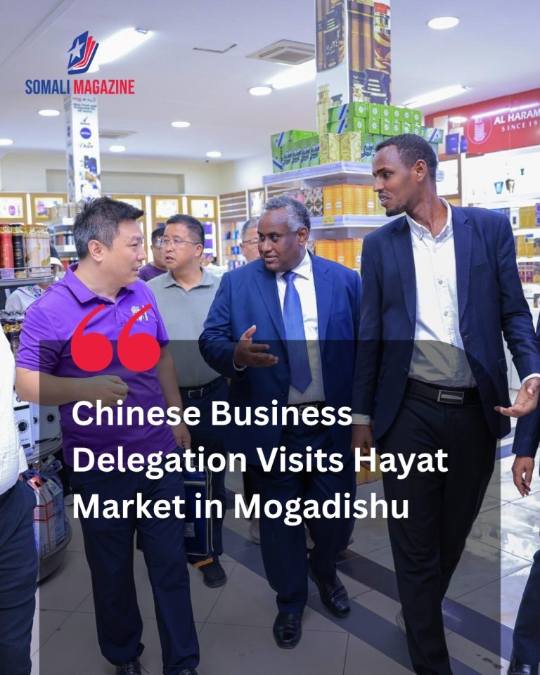Chinese Business Delegation Visits Hayat Market After Landmark Mogadishu Forum