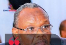 Former South West State President Calls for International Probe Into Baidoa and Doolow Incidents