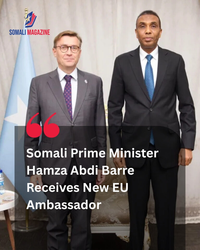 Somali Prime Minister Hamza Abdi Barre Receives New EU Ambassador