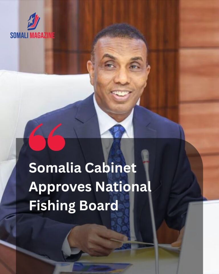 Somalia Cabinet Approves New Nine-Member Board for National Fishing Company to Boost Blue Economy