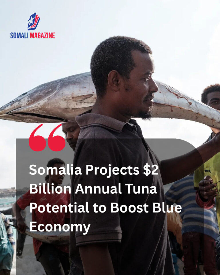 Unlocking Blue Economy Potential as Somalia Could Catch 800,000 Tonnes of Tuna Worth $2 Billion a Year, Fisheries Chief Says