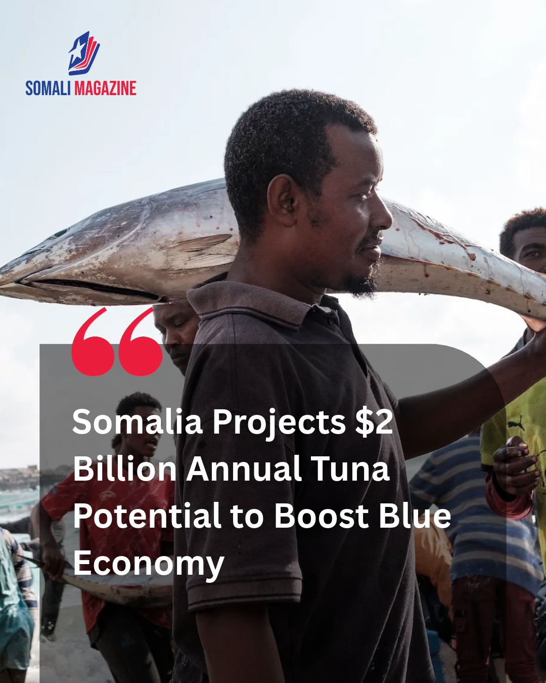 Unlocking Blue Economy Potential as Somalia Could Catch 800,000 Tonnes of Tuna Worth $2 Billion a Year, Fisheries Chief Says